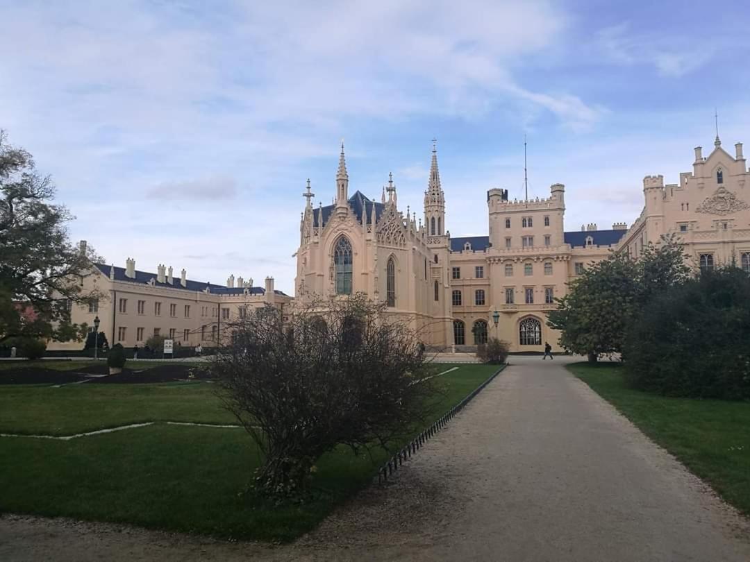Apartmán u Vrbů Černá v Pošumaví Exteriér fotografie